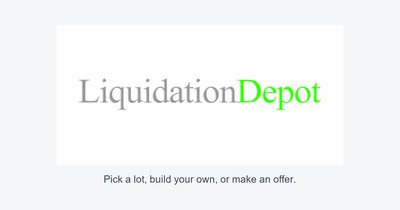 Pick a Lot, Build Your Own, or Make an Offer: How Liquidation Depot Lets Buyers Set the Terms